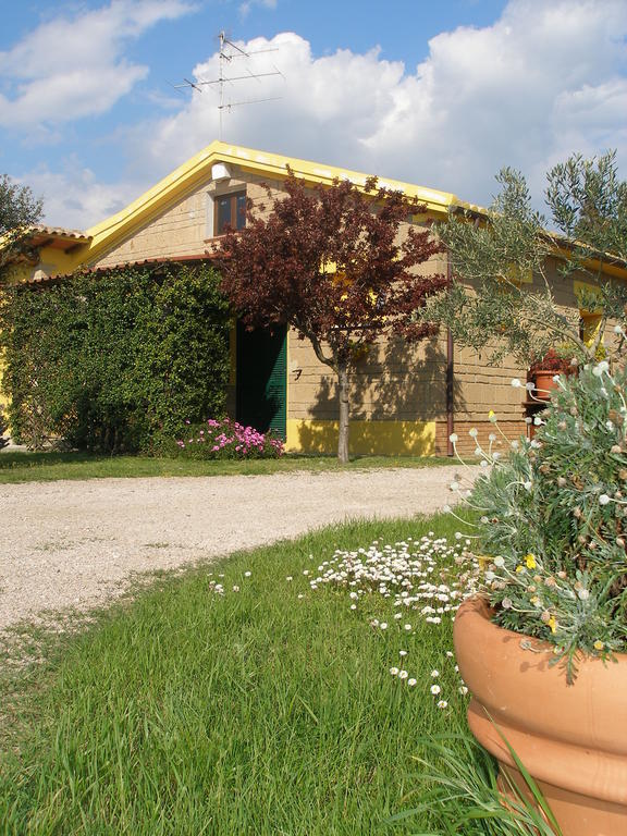 Agriturismo Albarosa-Terre Dell'Amore Marina di Grosseto Rum bild